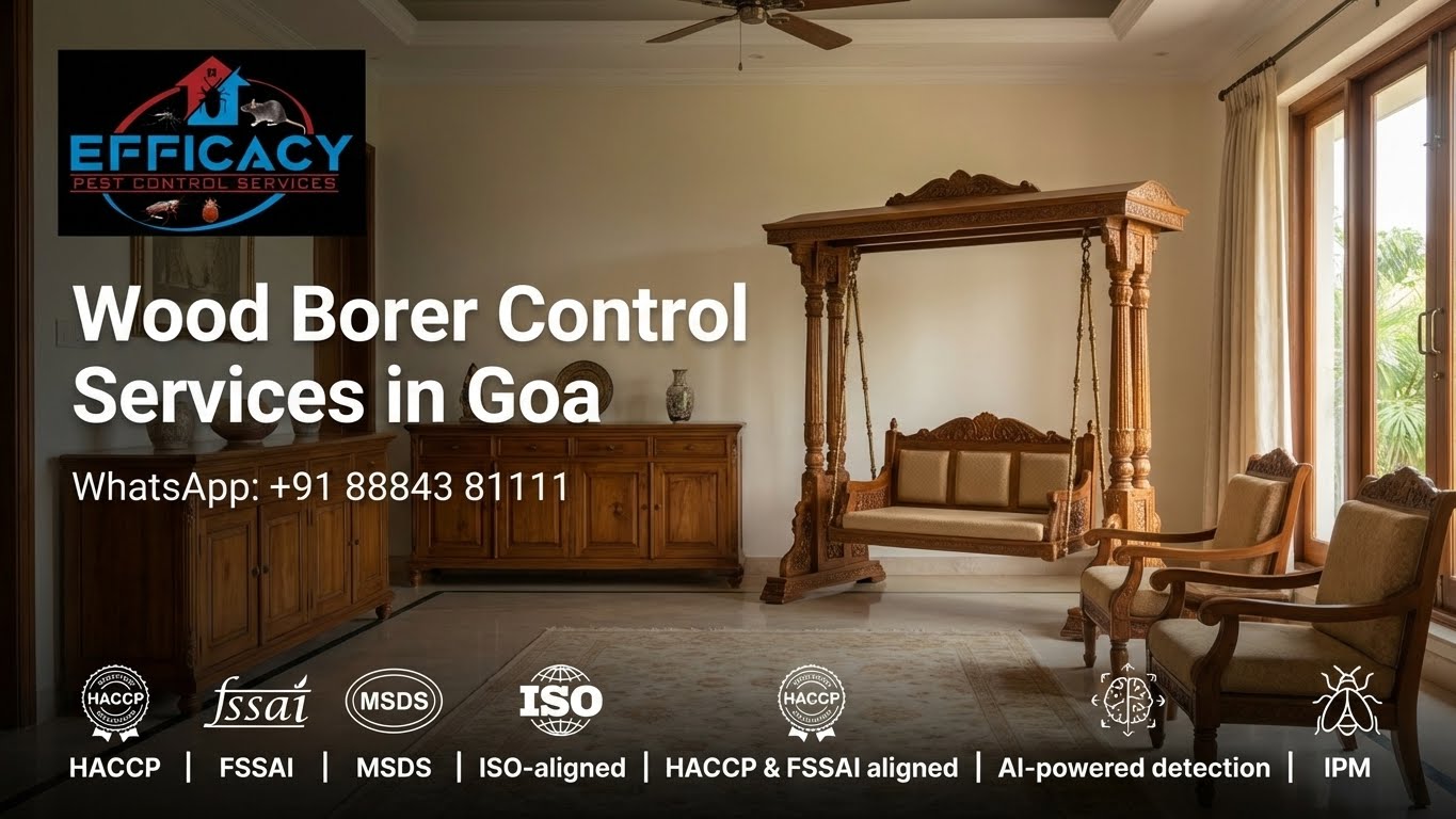 Wood Borer Pest Control Services | Expert Wood Borer Treatment - Efficacy Pest Control